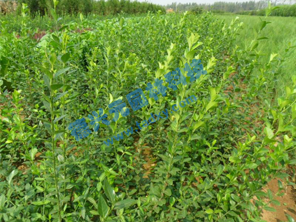 c鿴ԔϢ}~ xΔ(sh)2510