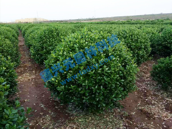 c鿴ԔϢ}~S xΔ(sh)2283