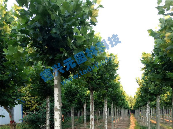 c鿴ԔϢ}ͩ xΔ(sh)2107